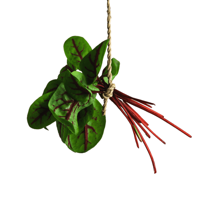 Red Veined Bali | Fresh Greens And Microgreens